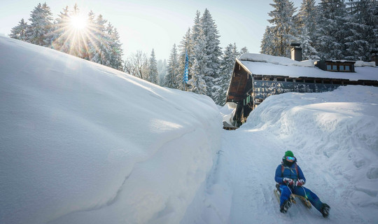 Rodeln von der Buchsteinhütte