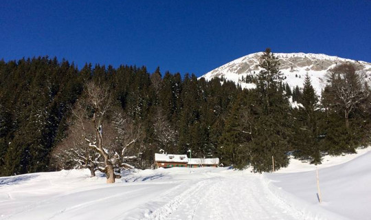 Rodelbahn von der Schwarzenberghütte zum Giebelhaus