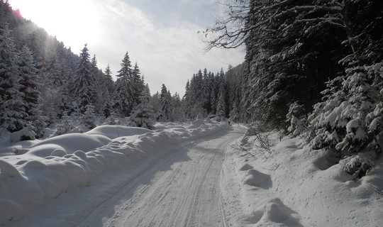 Rodelbahn Kemater Alm