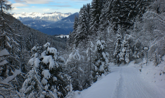 Rodelbahn Axamer Lizum