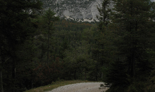 Rodelbahn Kreidegraben