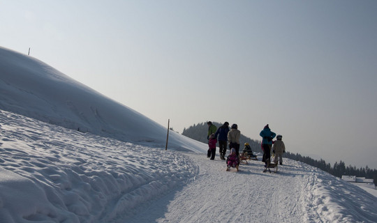 Rodelbahn Aschinger Alm