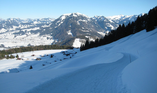 Rodelbahn Lustenauer Hütte