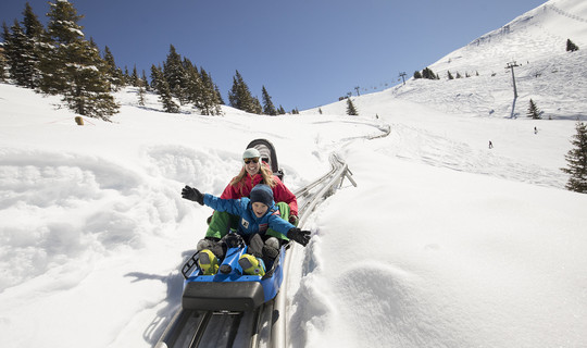 Alpbachtaler Lauser Sauser