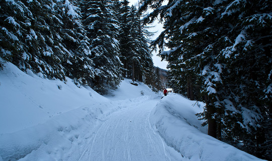 Rodelbahn Sistranser Alm