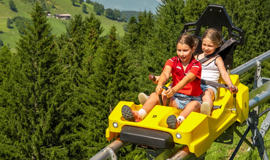 Drachenflitzer Wildschönau