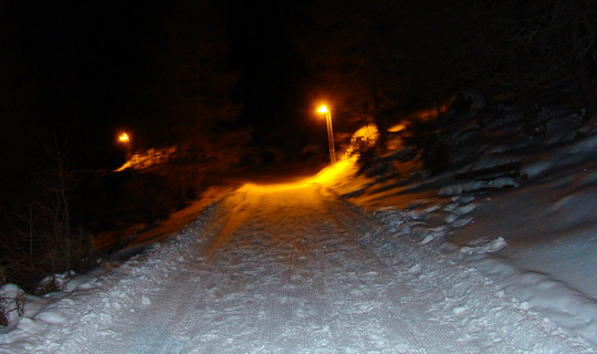 Rodelbahn Alpe Stalle