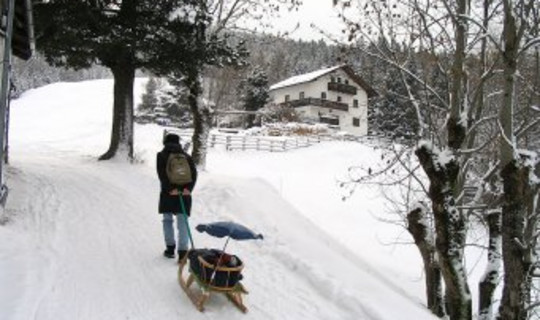 Rodelbahn Scheipenhof