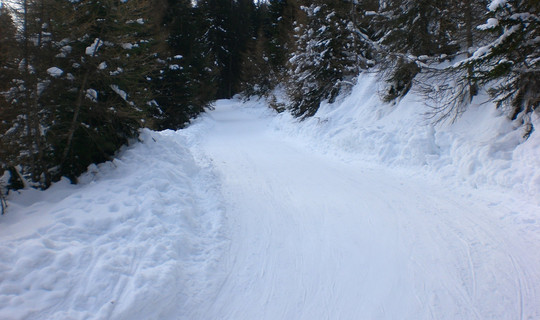 Rodelbahn Nösslachhütte