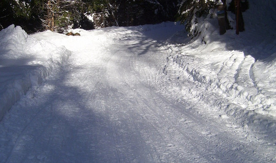 Rodelbahn - Prantner Alm