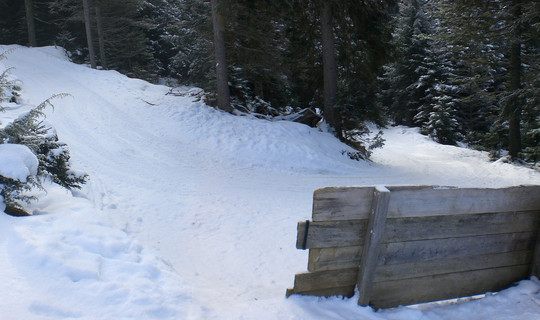 Rodelbahn Reither Joch Alm