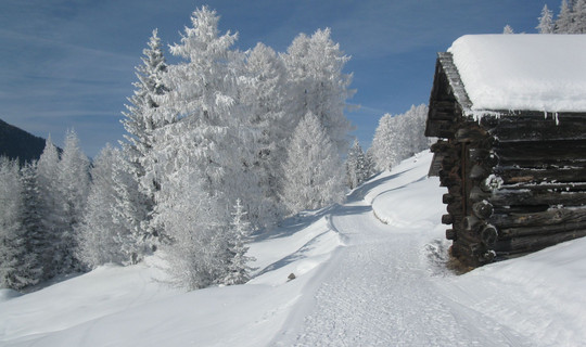 Rodelbahn Seelandbahn