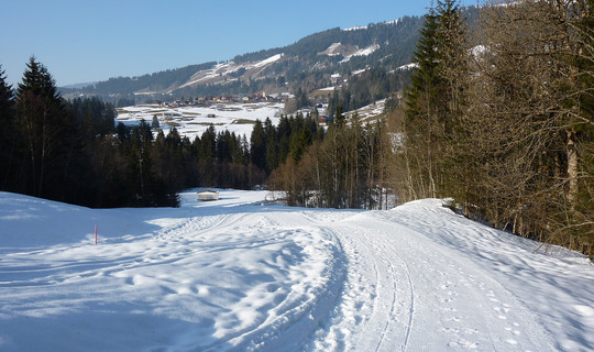 Rodelbahn Sibratsgfäll-Krähenberg