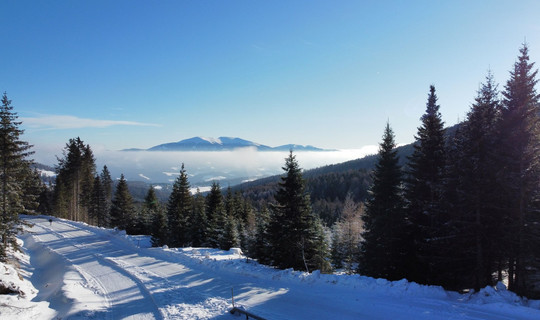 Rodelbahn Winterleiten-Seetaleralpen