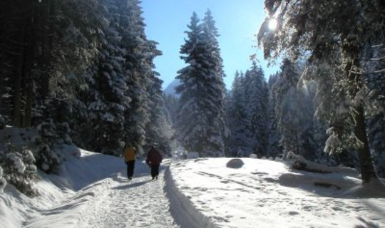 Rodelbahn Kelchalm / Bochumer Hütte