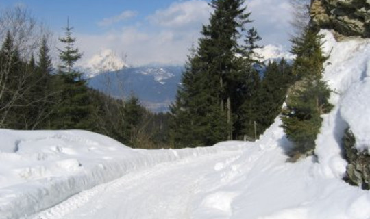 Rodelbahn Götzner Alm