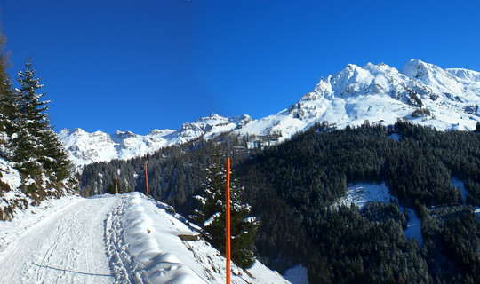 Rodelbahn Peeralm