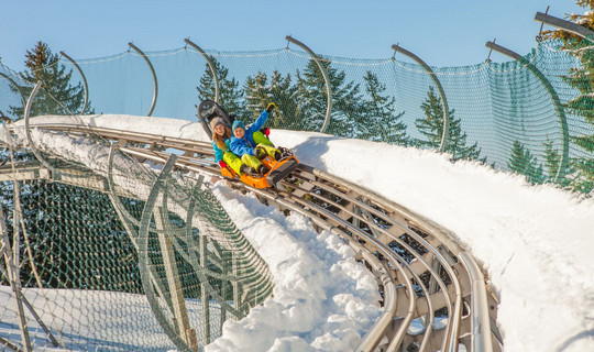 Ganzjahres-Rodelbahn Alpsee Coaster