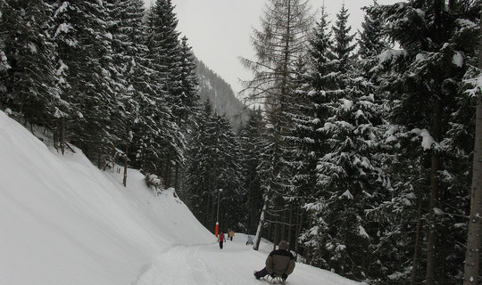 Rodelbahn - Rodelhütte Pertisau