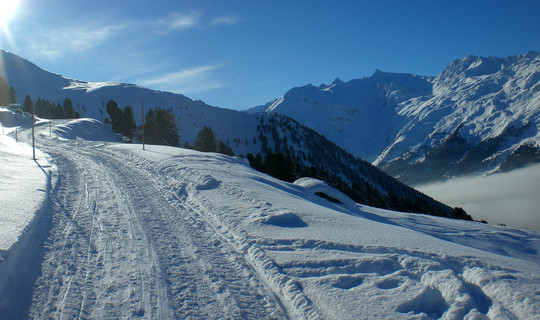 Rodelbahn Juifenalm