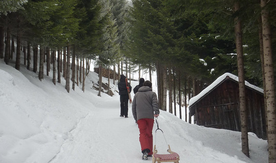 Rodelbahn Fraxern