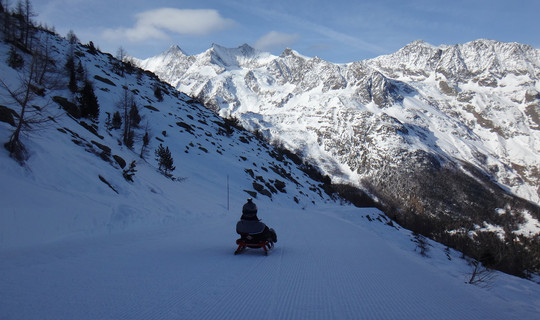 Rodelbahn Saas-Grund