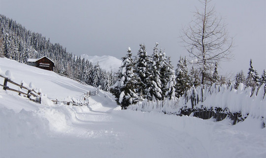 Rodelbahn Pertinger Almen