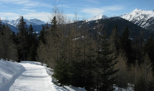 Rodelbahn Hühnerspiel