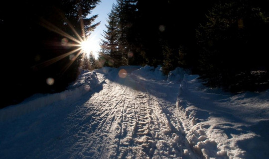 Rodelbahn Runstboden