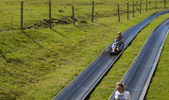 Sommerrodelbahn Walchsee