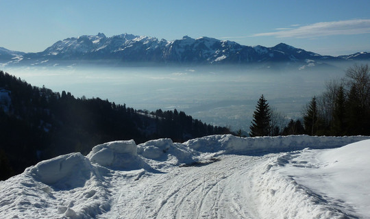 Rodelbahn Dafins