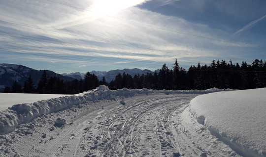 Rodelbahn Brüggelekopf - Tannerberg