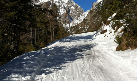 Rodelbahn Lehnberghaus