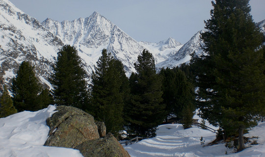 Rodelbahn Nisslalm