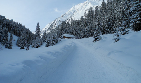 Rodelbahn Stadlalm