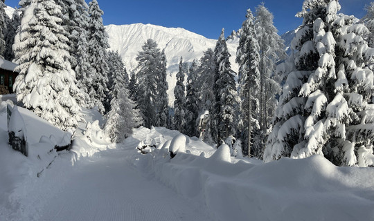Rodelbahn Brandstatt Alm