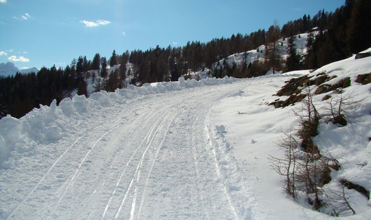 Rodelbahn Naturfreundehütte