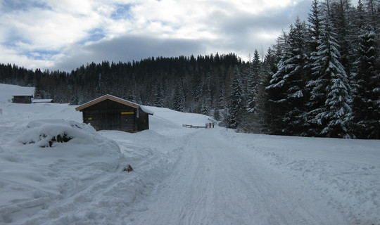 Rodelbahn Obernberger See