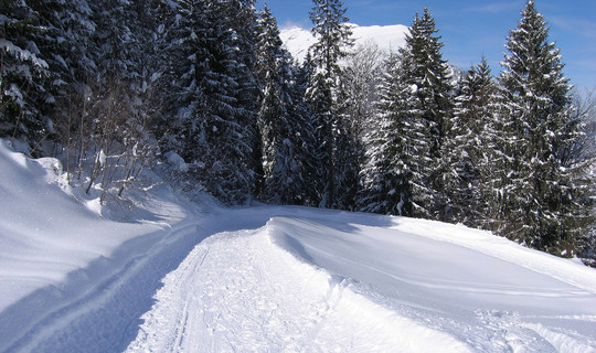 Rodelbahn Bergkristallhütte