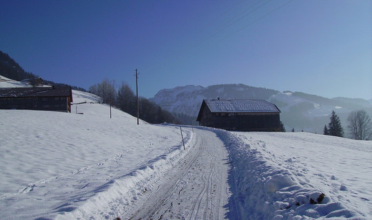 Rodelbahn Fegg