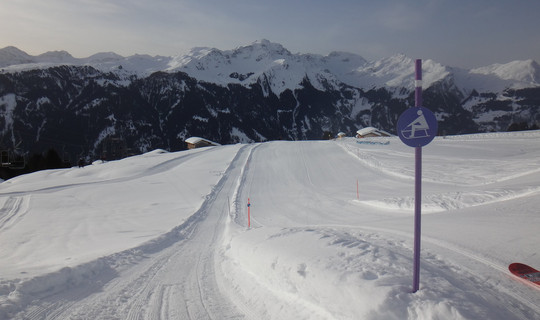 Rodelbahn Hochwang