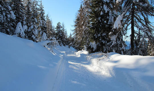 Rodelweg Vöraner Alm