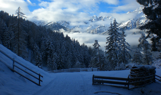 Rodelbahn Sonnenstein