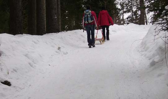 Rodelbahn Bödele