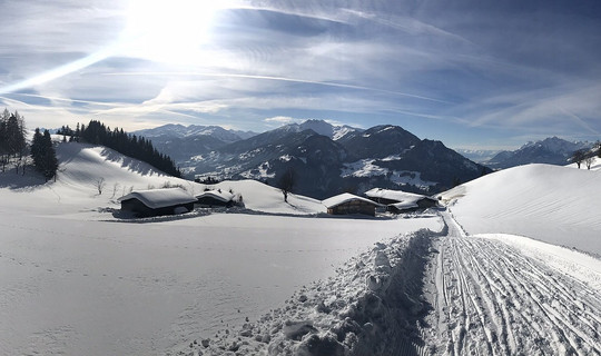 Rodelbahn Reither Kogel