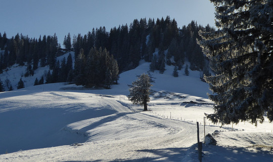 Rodelbahn Hochhäderich (Falkenhütte)