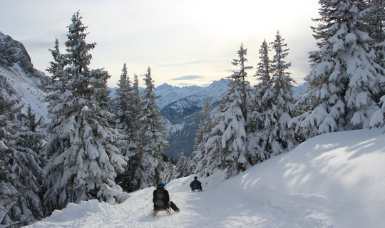 Rodelbahn am Breitenberg Ostlerhütte