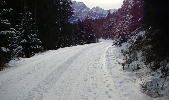 Rodelbahn Lugger Alm