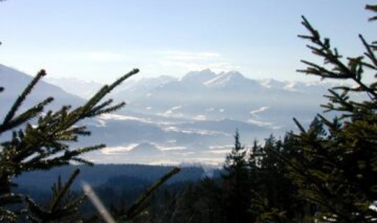 Rodelbahn Hinterhorn Alm