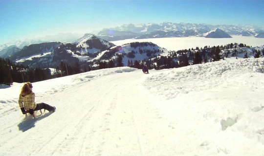 Rodelbahn Rigi - Des Alpes